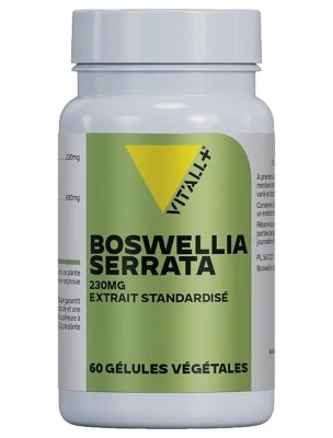 Image de Boswellia Serrata 230mg - Articulations et Digestion 60 gélules végétales - Vit'all+ depuis Achetez les produits Vit'All + à l'herboristerie Louis