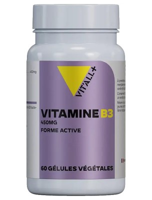 Image de Vitamine B3 450 mg - Stress et Tonus 60 gélules végétales - Vit'all+ depuis Achetez les produits Vit'All + à l'herboristerie Louis (9)