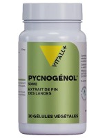 Image de Pycnogénol 50mg - Circulation 30 gélules végétales - Vit'all+ depuis Solutions Naturelles pour votre Santé | Louis Herboristerie (88)