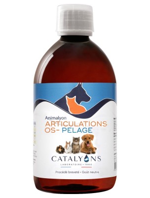 https://www.louis-herboristerie.com/80846-home_default/animalyon-articulations-pelage-et-os-souplesse-et-peau-chez-les-animaux-500-ml-catalyons.jpg Image 80846 supplémentaire pour Animalyon Articulations, Pelage et Os - Souplesse et Peau chez les Animaux 500 ml - Catalyons