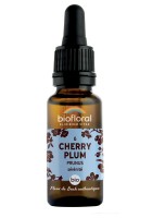 Image de Cherry Plum Prunus n°6 - Confiance et Sérénité Bio aux Fleurs de Bach 20 ml - Biofloral depuis Fleurs de Bach unitaires pour l'équilibre | Louis Herboristerie