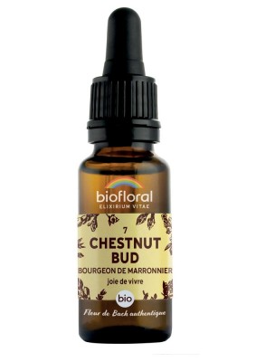 Image 80910 supplémentaire pour Chestnut bud Marronnier n°7 - Vitalité et Joie de Vivre Bio aux Fleurs de Bach 20 ml - Biofloral