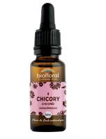 Image de Chicory Chicorée n°8 - Compréhension et Acceptation Bio aux Fleurs de Bach 20 ml - Biofloral depuis Fleurs de Bach unitaires pour l'équilibre | Louis Herboristerie