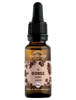 Image de Gorse Ajonc n°13 - Joie et Volonté Bio aux Fleurs de Bach 20 ml - Biofloral depuis Solutions Naturelles pour votre Santé | Louis Herboristerie (50)