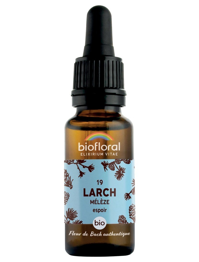 Image principale de la modale pour Larch Mélèze n°19 - Courage et Espoir Bio aux fleurs de Bach 20 ml - Biofloral