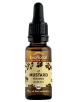 Image de Mustard Moutarde n°21 - Tristesse et Mélancolie Bio aux fleurs de Bach 20 ml - Biofloral depuis Solutions Naturelles pour votre Santé | Louis Herboristerie (71)