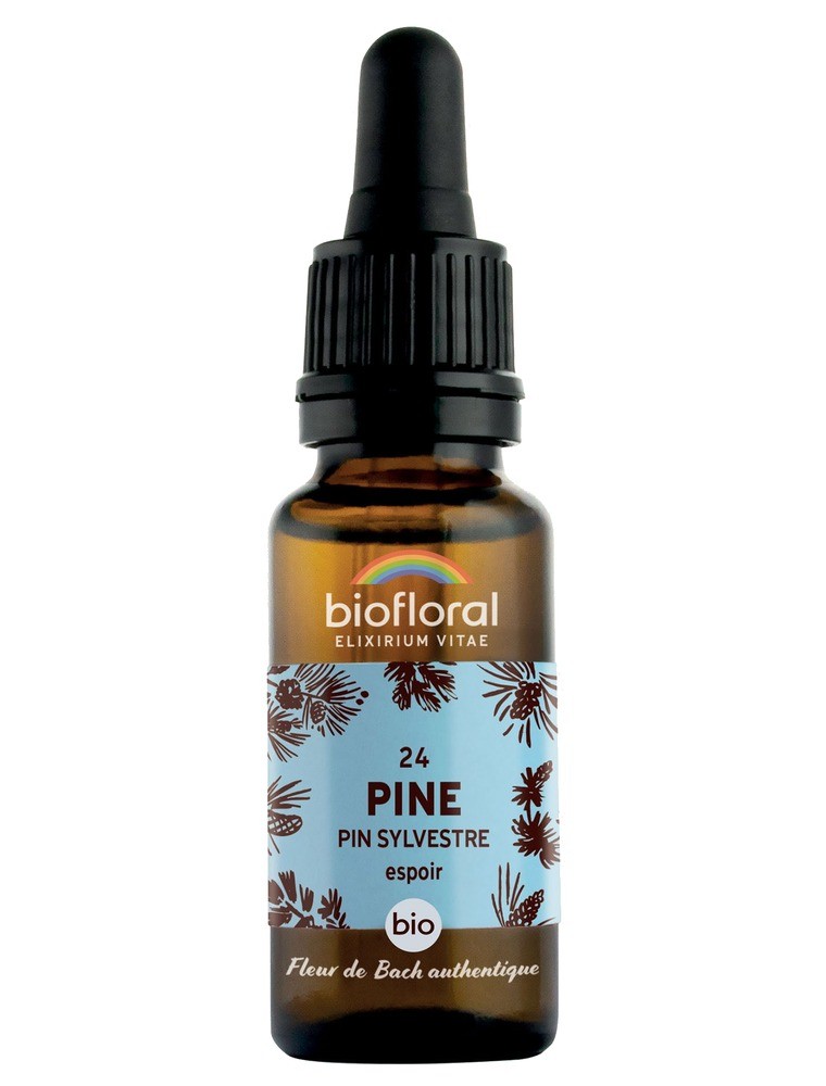 Image principale de la modale pour Pine Pin sylvestre n°24 - Courage et espoir Bio aux fleurs de Bach 20 ml - Biofloral