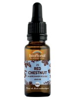 Image de Red Chestnut (Marronnier rouge) n°25 - Sérénité et Confiance Bio aux Fleurs de Bach 20 ml - Biofloral depuis Solutions Naturelles pour votre Santé | Louis Herboristerie (89)