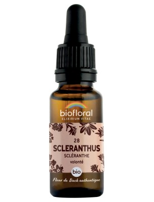 Image de Scleranthus n°28 - Force et Volonté Bio aux Fleurs de Bach 20 ml - Biofloral depuis Achetez les produits Biofloral à l'herboristerie Louis (2)