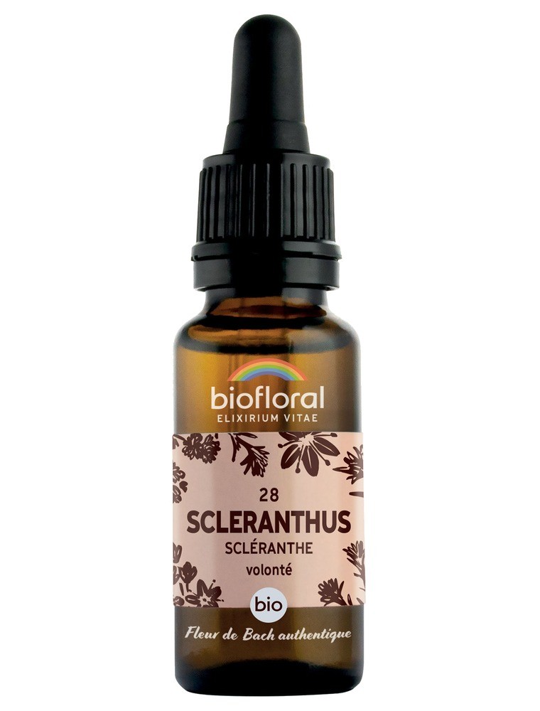 Image principale de la modale pour Scleranthus n°28 - Force et Volonté Bio aux Fleurs de Bach 20 ml - Biofloral