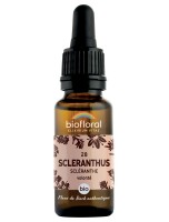 Image de Scleranthus n°28 - Force et Volonté Bio aux Fleurs de Bach 20 ml - Biofloral depuis Solutions Naturelles pour votre Santé | Louis Herboristerie (95)