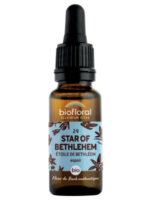 Image de Star of Bethlehem Étoile de Bethléem n°29 - Courage et Espoir Bio aux Fleurs de Bach 20 ml - Biofloral depuis Achetez les produits Biofloral à l'herboristerie Louis (2)