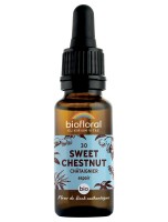 Image de Sweet Chestnut Châtaignier n°30 - Courage et Espoir Bio aux Fleurs de Bach 20 ml - Biofloral depuis Solutions Naturelles pour votre Santé | Louis Herboristerie (103)