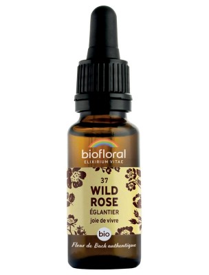 Image de Wild Rose n°37 - Vitalité et Joie de Vivre Bio aux Fleurs de Bach 20 ml - Biofloral depuis Achetez les produits Biofloral à l'herboristerie Louis (2)
