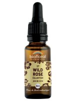 Image de Wild Rose n°37 - Vitalité et Joie de Vivre Bio aux Fleurs de Bach 20 ml - Biofloral depuis Produits pour Sommeil et Énergie | Louis Herboristerie (30)