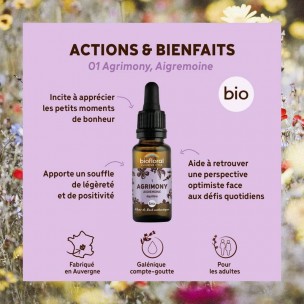 Image 80966 supplémentaire pour Agrimony n°1 - Calme et Équilibre Bio aux Fleurs de Bach 20 ml - Biofloral
