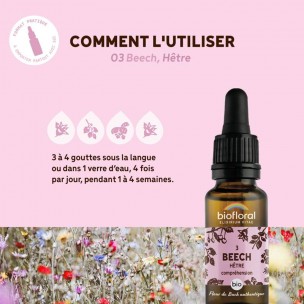 Image 80974 supplémentaire pour Beech Hêtre n°3 - Acceptation et Compréhension Bio aux Fleurs de Bach 20 ml - Biofloral