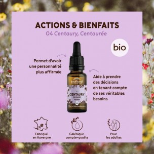Image 80975 supplémentaire pour Centaury Centaurée n°4 - Calme et Équilibre Bio aux Fleurs de Bach 20 ml - Biofloral