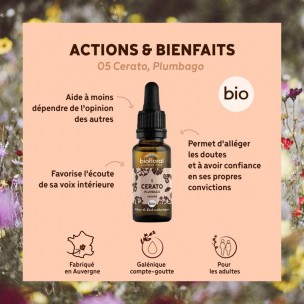 Image 80978 supplémentaire pour Cerato Plumbago n°5 - Force et Volonté Bio aux Fleurs de Bach 20 ml - Biofloral