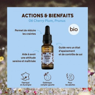 Image 80981 supplémentaire pour Cherry Plum Prunus n°6 - Confiance et Sérénité Bio aux Fleurs de Bach 20 ml - Biofloral