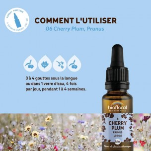 Image 80983 supplémentaire pour Cherry Plum Prunus n°6 - Confiance et Sérénité Bio aux Fleurs de Bach 20 ml - Biofloral