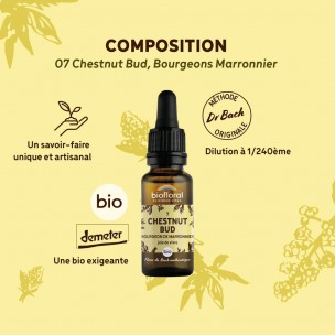 Image 80985 supplémentaire pour Chestnut bud Marronnier n°7 - Vitalité et Joie de Vivre Bio aux Fleurs de Bach 20 ml - Biofloral