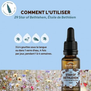 Image 80989 supplémentaire pour Star of Bethlehem Étoile de Bethléem n°29 - Courage et Espoir Bio aux Fleurs de Bach 20 ml - Biofloral