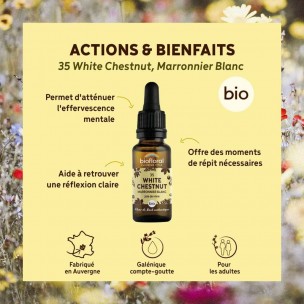 Image 80990 supplémentaire pour White Chestnut n°35 - Vitalité et Joie de Vivre Bio aux Fleurs de Bach 20 ml - Biofloral