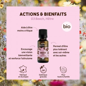 Image 81075 supplémentaire pour Beech Hêtre n°3 - Acceptation et Compréhension Bio aux Fleurs de Bach en granules 19,5 g - Biofloral