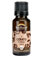 Image de Cerato Plumbago n°5 - Force et Volonté Bio aux Fleurs de Bach en granules 19,5 g - Biofloral depuis Fleurs de Bach pour un bien-être optimal (2)