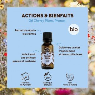 Image 81087 supplémentaire pour Cherry Plum Prunus n°6 - Confiance et Sérénité Bio aux Fleurs de Bach en granules 19,5 g - Biofloral
