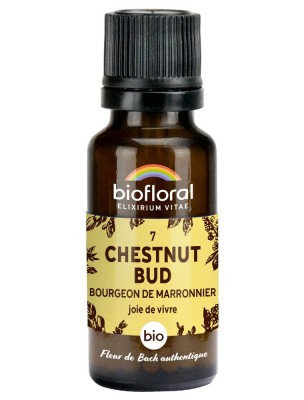 Image 81090 supplémentaire pour Chestnut bud Marronnier n°7 - Vitalité et Joie de Vivre Bio aux Fleurs de Bach en granules 19,5 g - Biofloral
