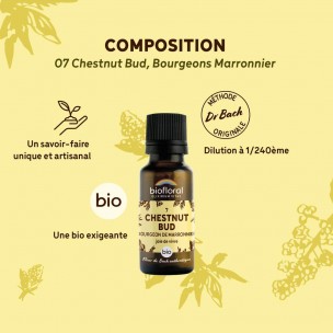 Image 81092 supplémentaire pour Chestnut bud Marronnier n°7 - Vitalité et Joie de Vivre Bio aux Fleurs de Bach en granules 19,5 g - Biofloral