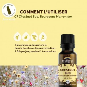 Image 81093 supplémentaire pour Chestnut bud Marronnier n°7 - Vitalité et Joie de Vivre Bio aux Fleurs de Bach en granules 19,5 g - Biofloral