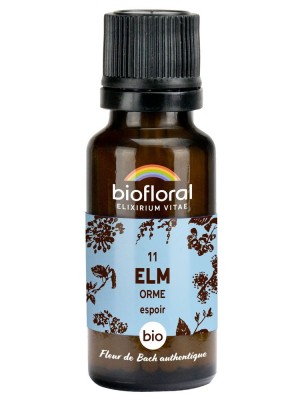 Image 81097 supplémentaire pour Elm Orme n°11 - Courage et Espoir Bio aux Fleurs de Bach en granules 19,5 g - Biofloral