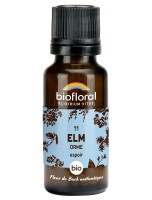Image de Elm Orme n°11 - Courage et Espoir Bio aux Fleurs de Bach en granules 19,5 g - Biofloral depuis Granules aux Fleurs de Bach bio sans alcool - Biofloral