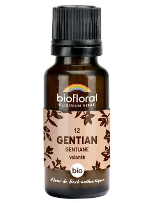 https://www.louis-herboristerie.com/81098-home_default/gentian-gentiane-n12-force-et-volonte-bio-aux-fleurs-de-bach-en-granules-19-5-g-biofloral.jpg Image 81098 supplémentaire pour Gentian Gentiane n°12 - Force et Volonté Bio aux Fleurs de Bach en granules 19,5 g - Biofloral