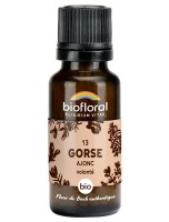 Image de Gorse Ajonc n°13 - Joie et Volonté Bio aux Fleurs de Bach en granules 19,5 g - Biofloral depuis Granules aux Fleurs de Bach bio sans alcool - Biofloral