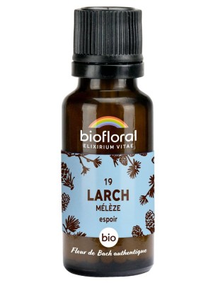 https://www.louis-herboristerie.com/81105-home_default/larch-meleze-n19-courage-et-espoir-bio-aux-fleurs-de-bach-en-granules-19-5-g-biofloral.jpg Image 81105 supplémentaire pour Larch Mélèze n°19 - Courage et Espoir Bio aux Fleurs de Bach en granules 19,5 g - Biofloral