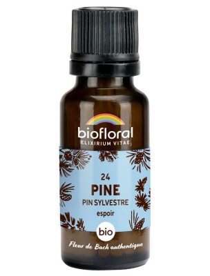 Image 81110 supplémentaire pour Pine Pin sylvestre n°24 - Courage et Espoir Bio aux Fleurs de Bach en granules 19,5 g - Biofloral