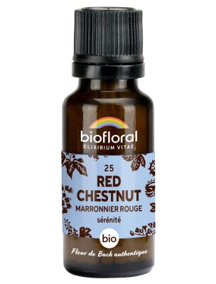 https://www.louis-herboristerie.com/81111-home_default/red-chestnut-marronnier-rouge-n25-serenite-et-confiance-bio-aux-fleurs-de-bach-en-granules-19-5-g-biofloral.jpg Image 81111 supplémentaire pour Red Chestnut (Marronnier rouge) n°25 - Sérénité et Confiance Bio aux Fleurs de Bach en granules 19,5 g - Biofloral
