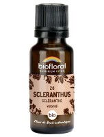 Image de Scleranthus n°28 - Force et Volonté Bio aux Fleurs de Bach en granules 19,5 g - Biofloral depuis Fleurs de Bach pour un bien-être optimal (11)