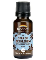 Image de Star of Bethlehem Étoile de Bethléem n°29 - Courage et Espoir Bio aux Fleurs de Bach en granules 19,5 g - Biofloral depuis Fleurs de Bach pour un bien-être optimal (11)