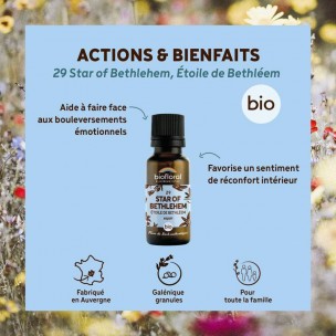 Image 81116 supplémentaire pour Star of Bethlehem Étoile de Bethléem n°29 - Courage et Espoir Bio aux Fleurs de Bach en granules 19,5 g - Biofloral