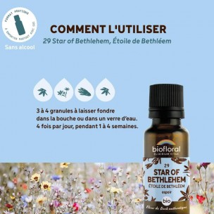 Image 81118 supplémentaire pour Star of Bethlehem Étoile de Bethléem n°29 - Courage et Espoir Bio aux Fleurs de Bach en granules 19,5 g - Biofloral