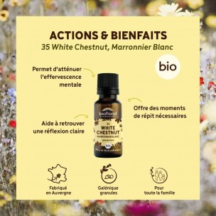 Image 81125 supplémentaire pour White Chestnut n°35 - Vitalité et Joie de Vivre Bio aux Fleurs de Bach en granules 19,5 g - Biofloral
