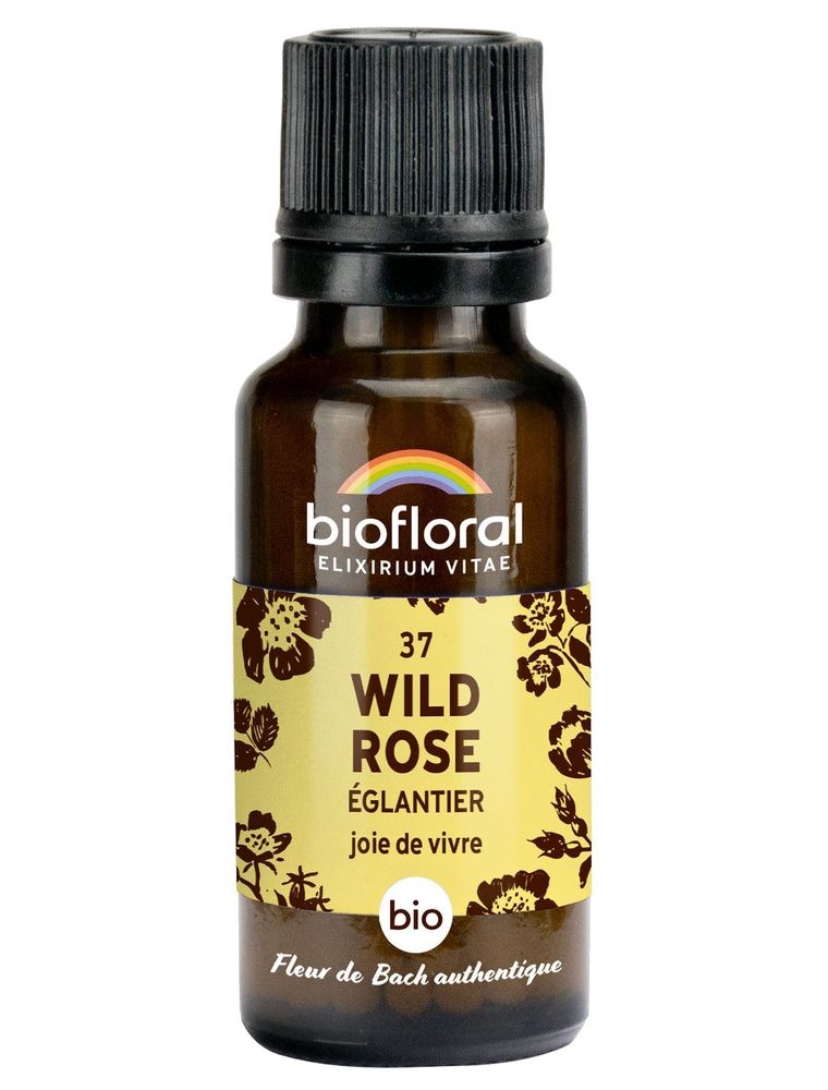 Image principale de la modale pour Wild Rose n°37 - Vitalité et Joie de Vivre Bio aux Fleurs de Bach en granules 19,5 g - Biofloral