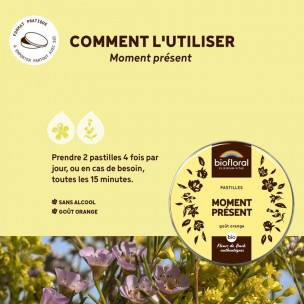 Image 81166 supplémentaire pour Moment Présent Bio - Complexe Bio aux Fleurs de Bach en pastilles 50 g - Biofloral