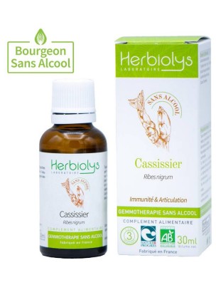 https://www.louis-herboristerie.com/81211-home_default/cassissier-cassis-macerat-de-bourgeons-sans-alcool-bio-immunite-et-articulation-30-ml-herbiolys.jpg Image 81211 supplémentaire pour Cassissier (Cassis) Macérât de bourgeons Sans Alcool Bio - Immunité et Articulation 30 ml - Herbiolys
