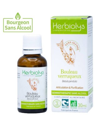 Image 81216 supplémentaire pour Bouleau Verruqueux Macérât de bourgeons Sans Alcool Bio - Articulation et Purification 30 ml - Herbiolys